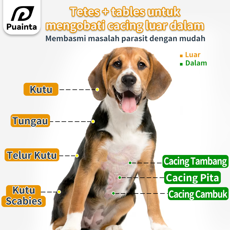 Anti Flea & Tick Topical Repellent for Dogs & Cats