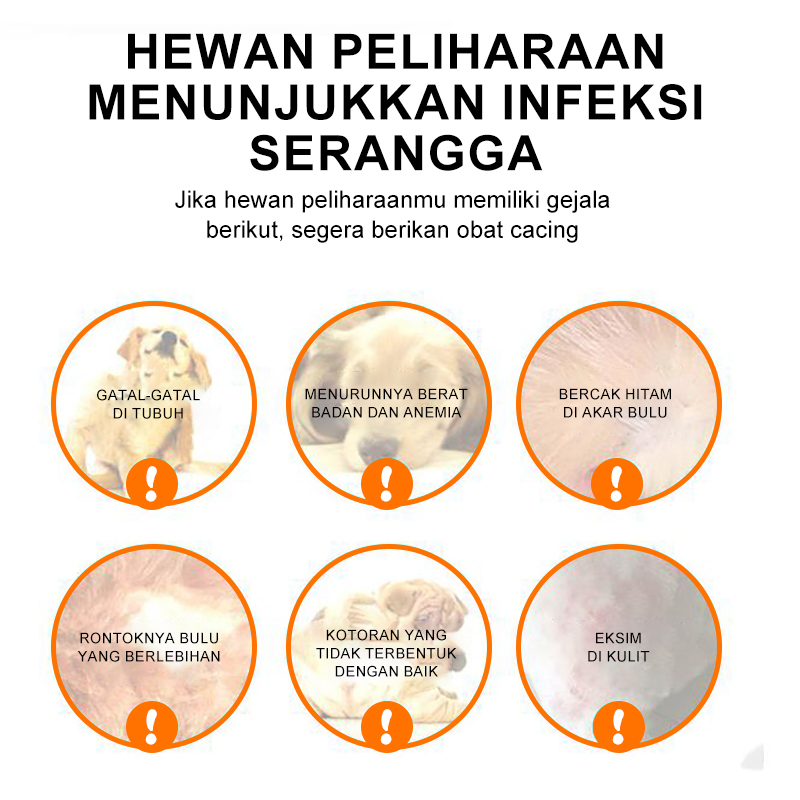 Smilax - Semprotan Insektisida untuk Anjing dan Kucing