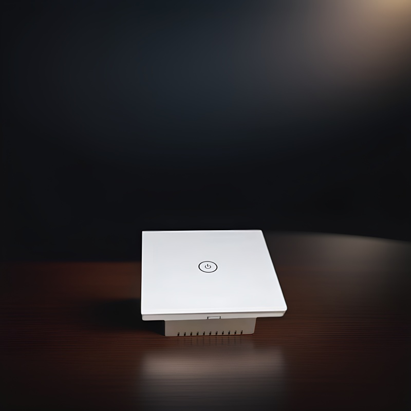 Multi-functional Smart Switch Enclosure-Zhaotesi