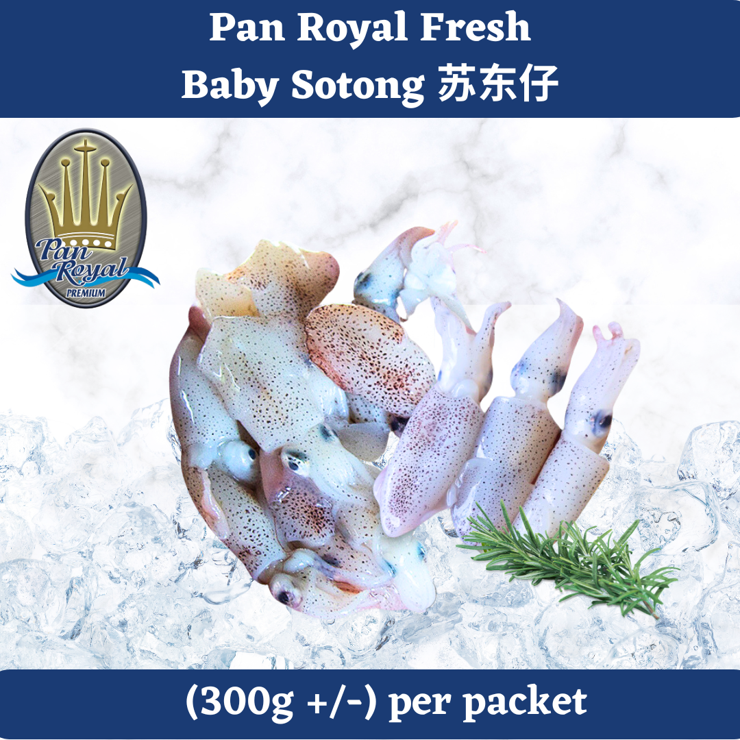 [PAN ROYAL] Fresh Baby Sotong (300g +/-) 苏东仔