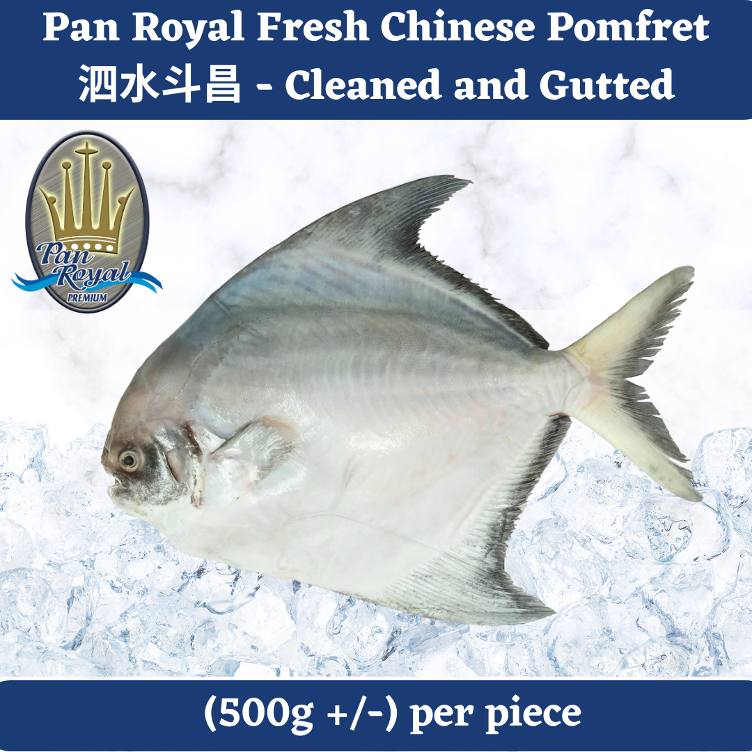 [PAN ROYAL] Fresh Chinese Pomfret (500g +/-) 泗水斗昌