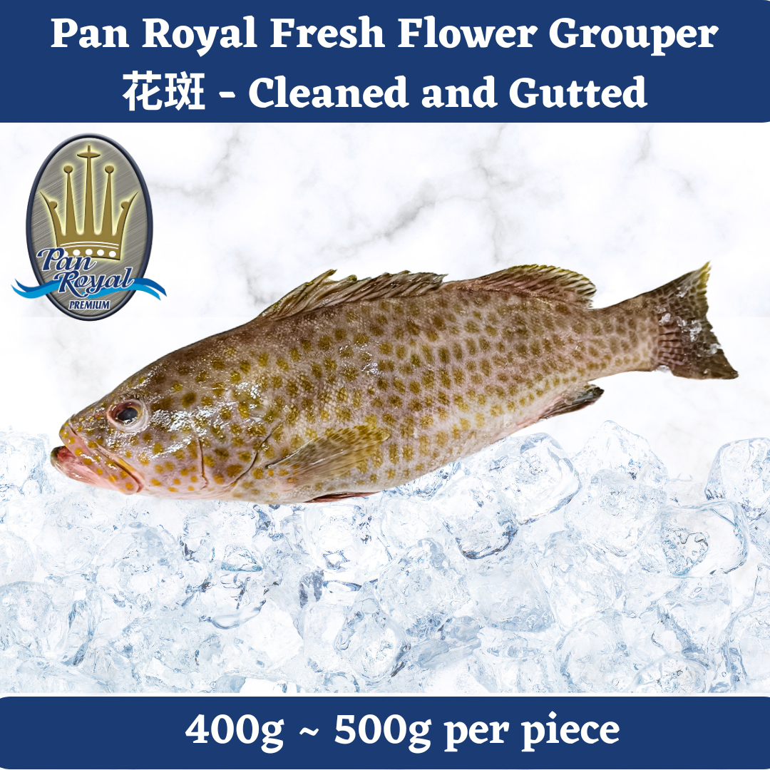 [PAN ROYAL] Fresh Flower Grouper (400 - 500g)