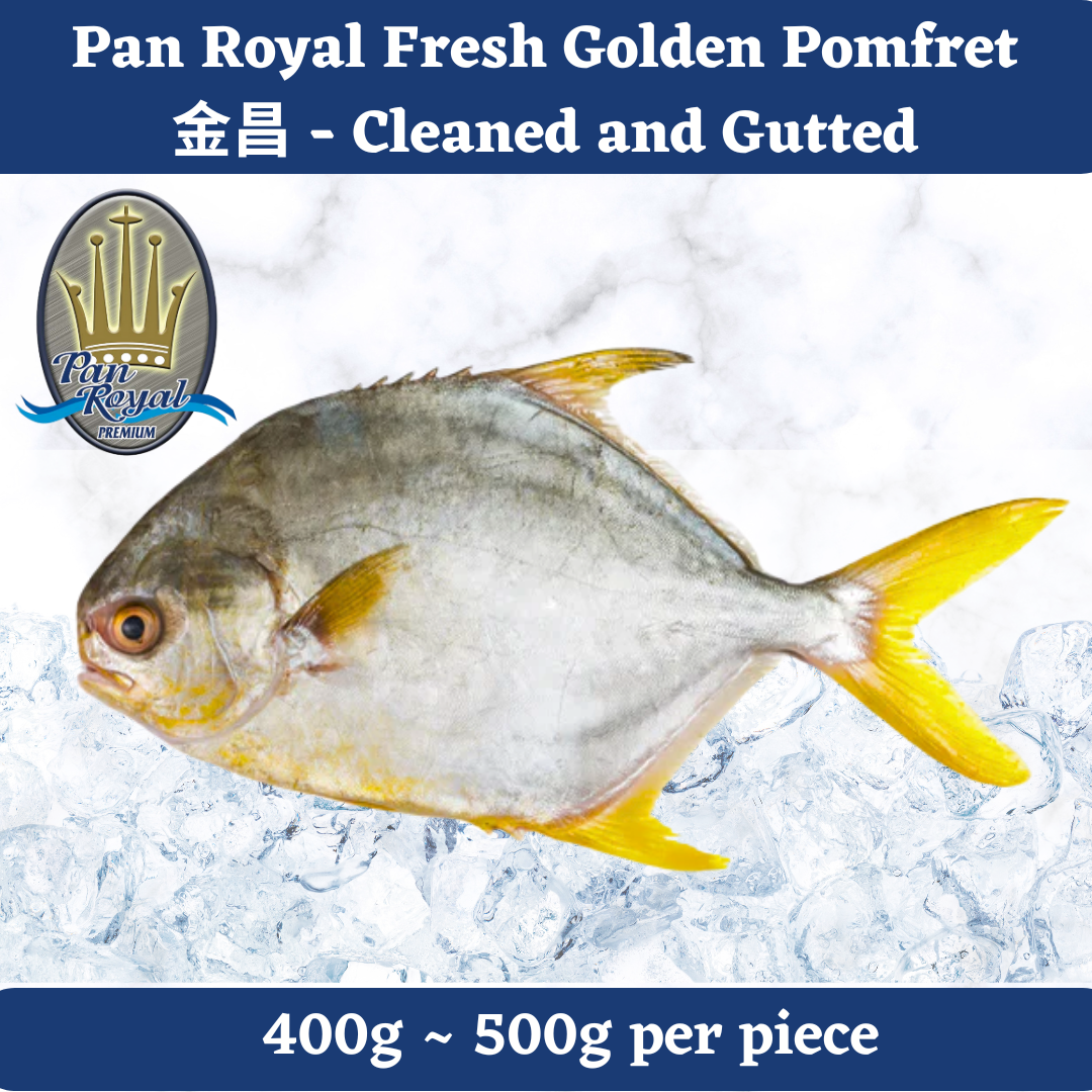 [PAN ROYAL] Fresh Golden Pomfret 金昌 (400 - 500g)