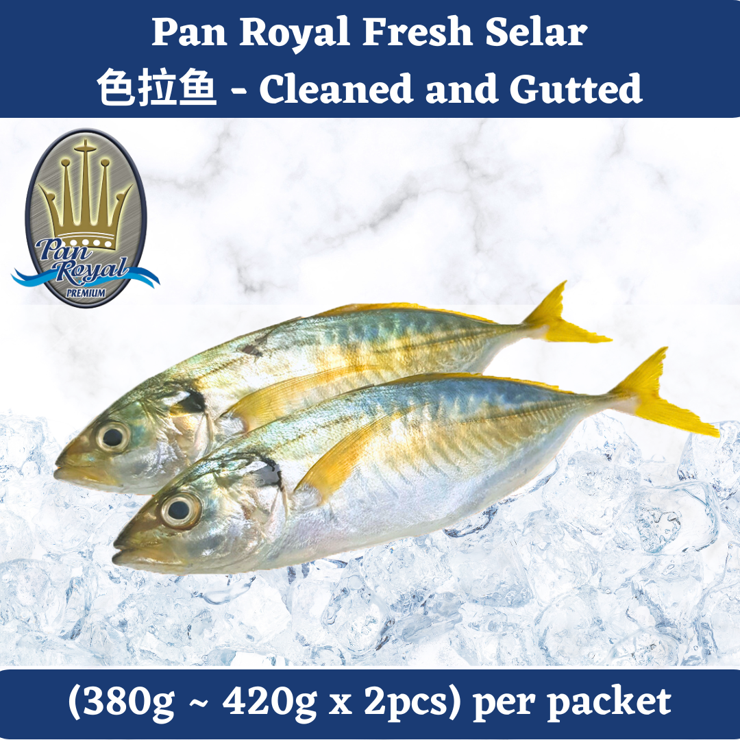 [PAN ROYAL] Fresh Selar (380 - 420g) 2pcs 色拉鱼