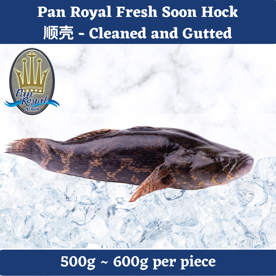 [PAN ROYAL] Fresh Soon Hock (500 - 600g)
