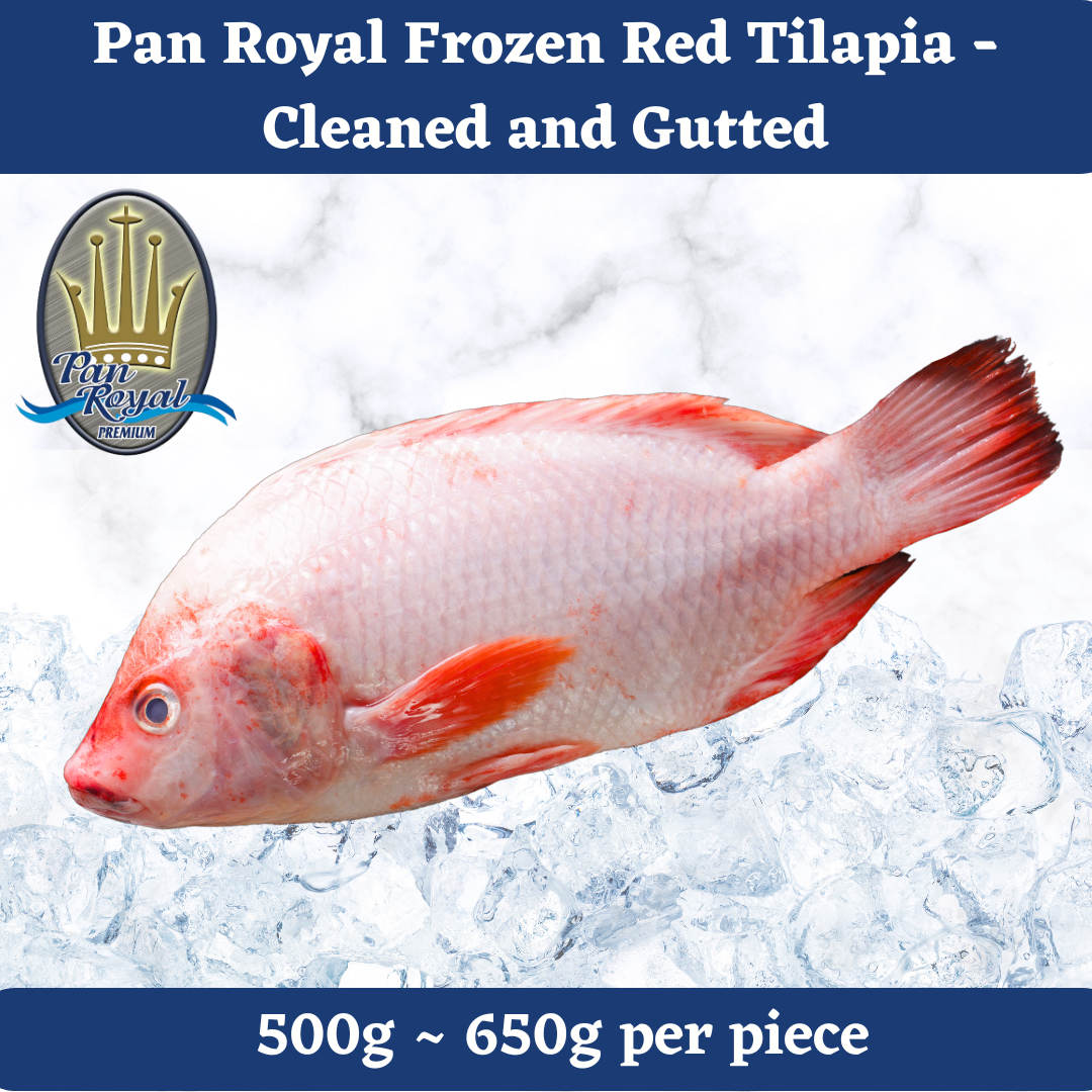 [PAN ROYAL] Fresh Frozen Red Tilapia - Cleaned and Gutted (500g - 650g) 红罗非鱼 (已清洗取脏)