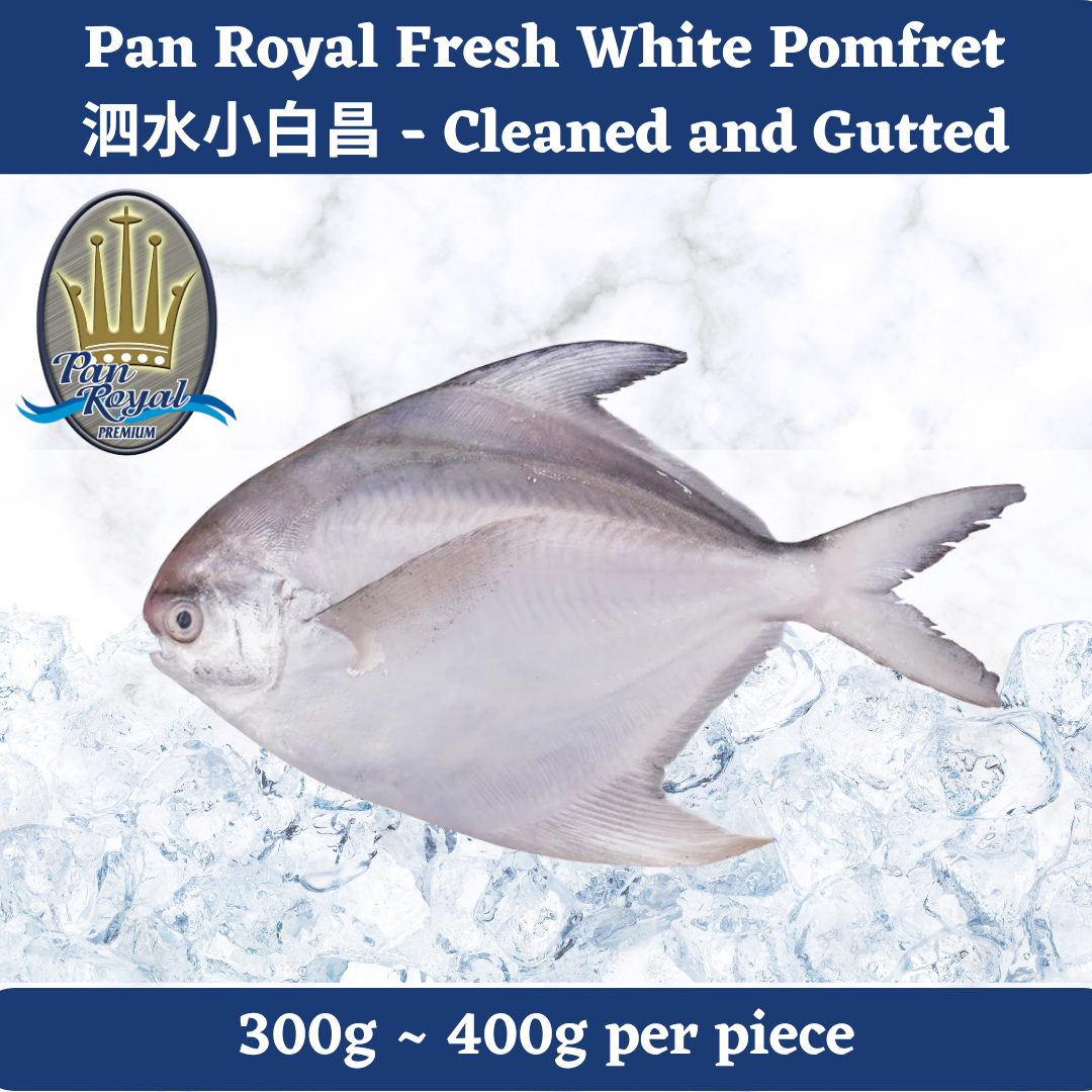 [PAN ROYAL] Fresh White Pomfret (300 - 400g +/-) 泗水小白昌