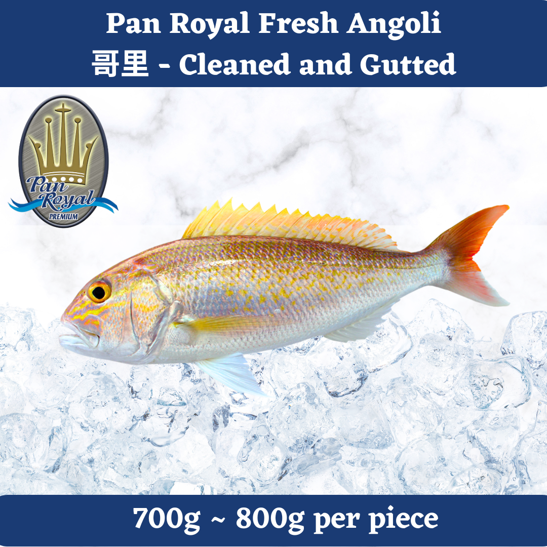 [PAN ROYAL] Fresh Sea Caught Angoli - Cleaned and Gutted (700-800g)
