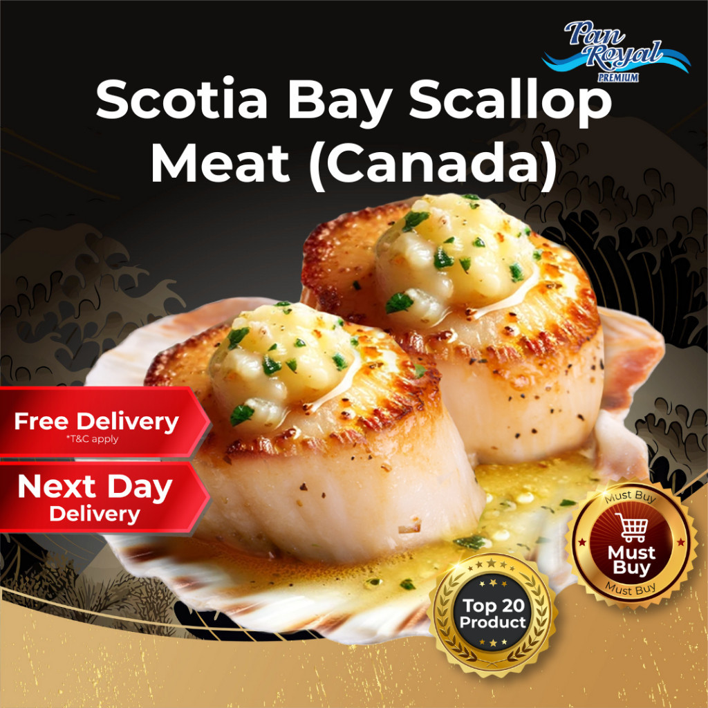 [PAN ROYAL] Frozen Canada Scotia Bay Scallop Meat (1kg +/-)-Pan Ocean Singapore - Sea Through Us.