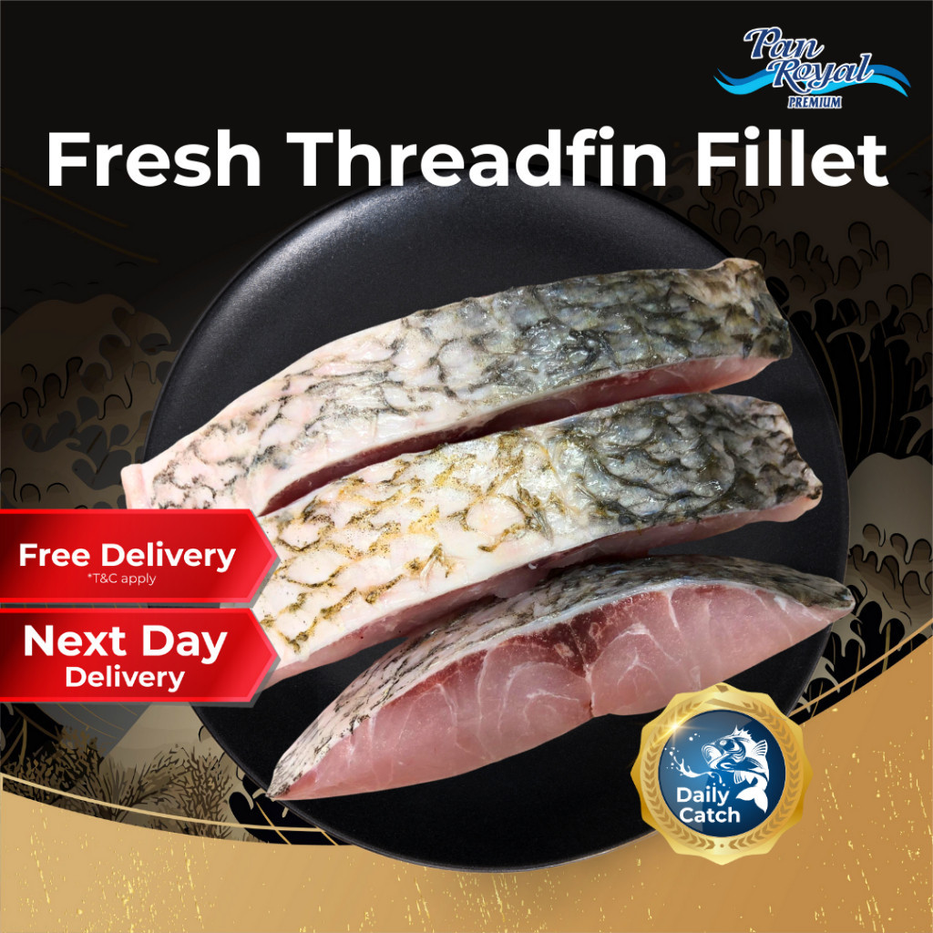 [PAN ROYAL] Fresh Frozen Threadfin Fillet (300g +/-)-Pan Ocean Singapore - Sea Through Us.