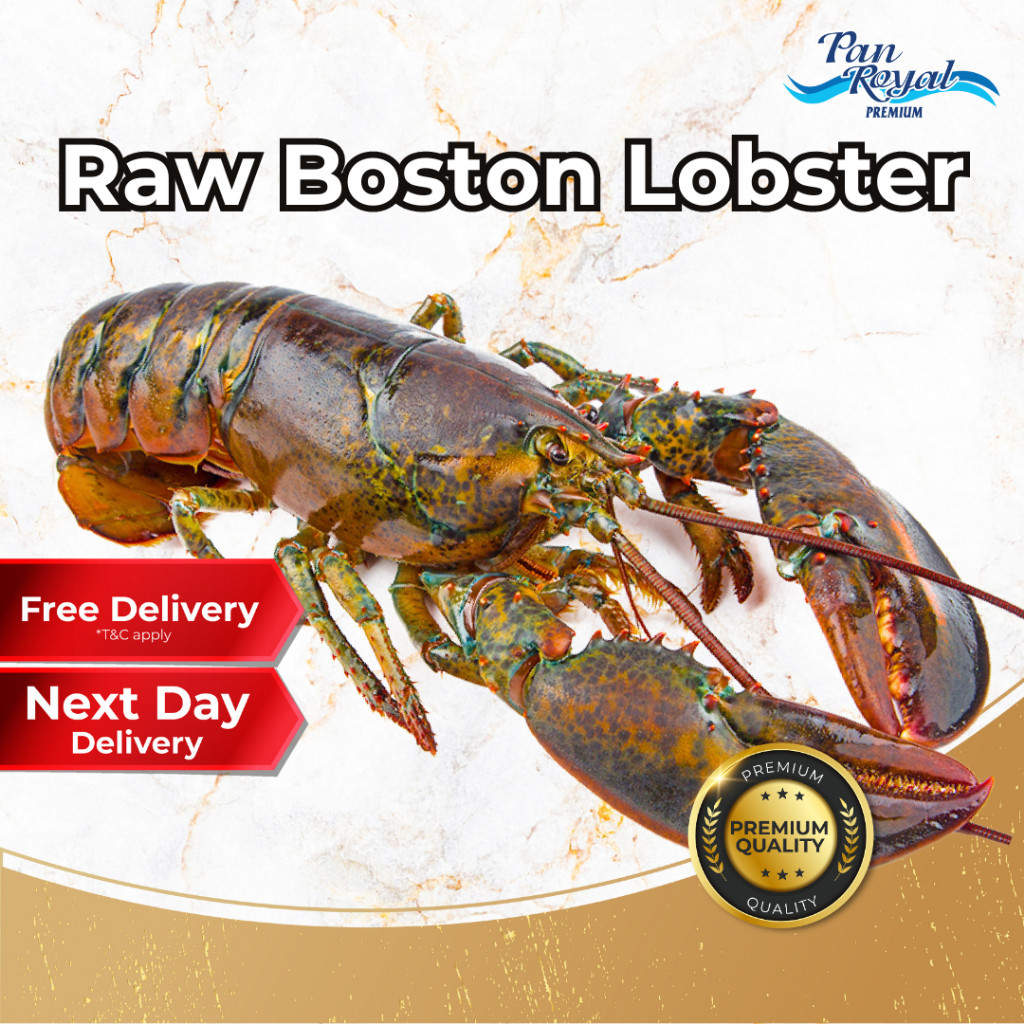 [PAN ROYAL] Frozen Raw Boston Lobster (450g +/-)-Pan Ocean Singapore - Sea Through Us.