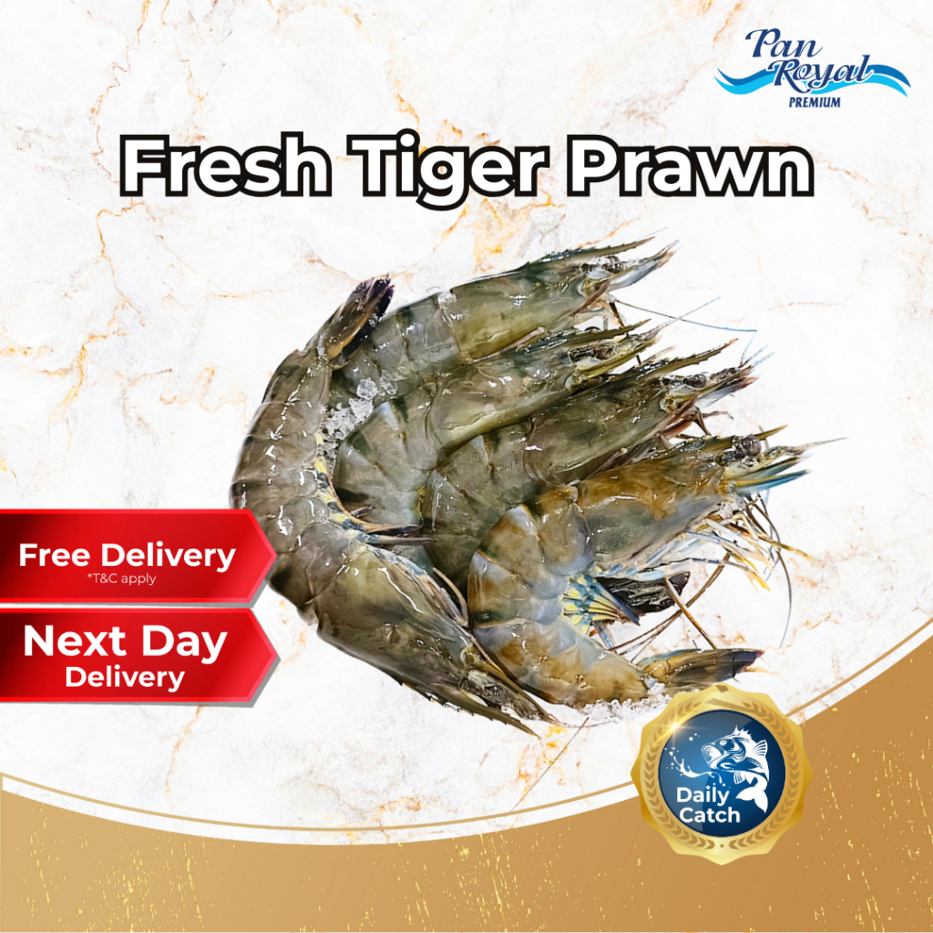 [PAN ROYAL] Fresh Tiger Prawn (500g +/-)-Pan Ocean Singapore - Sea Through Us.