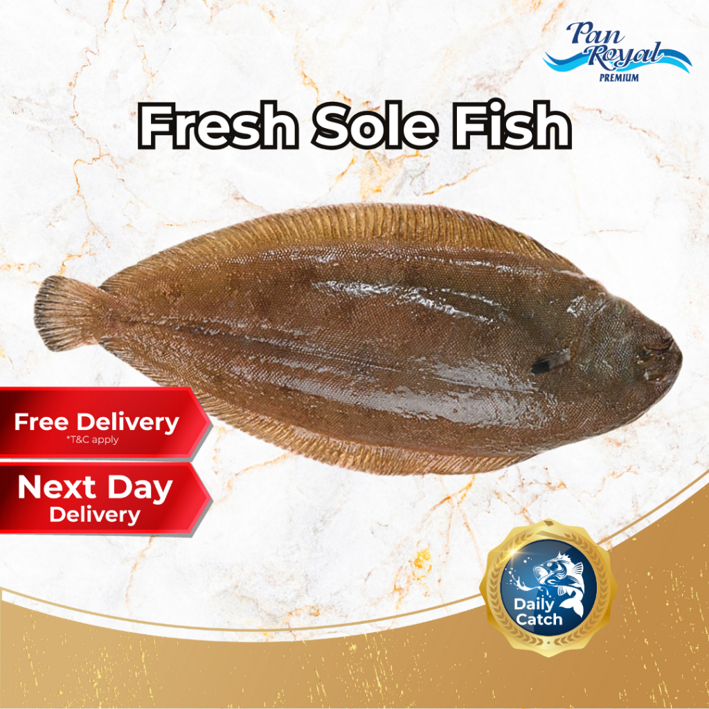[PAN ROYAL] Fresh Sole Fish (800g +/-)-Pan Ocean Singapore - Sea Through Us.