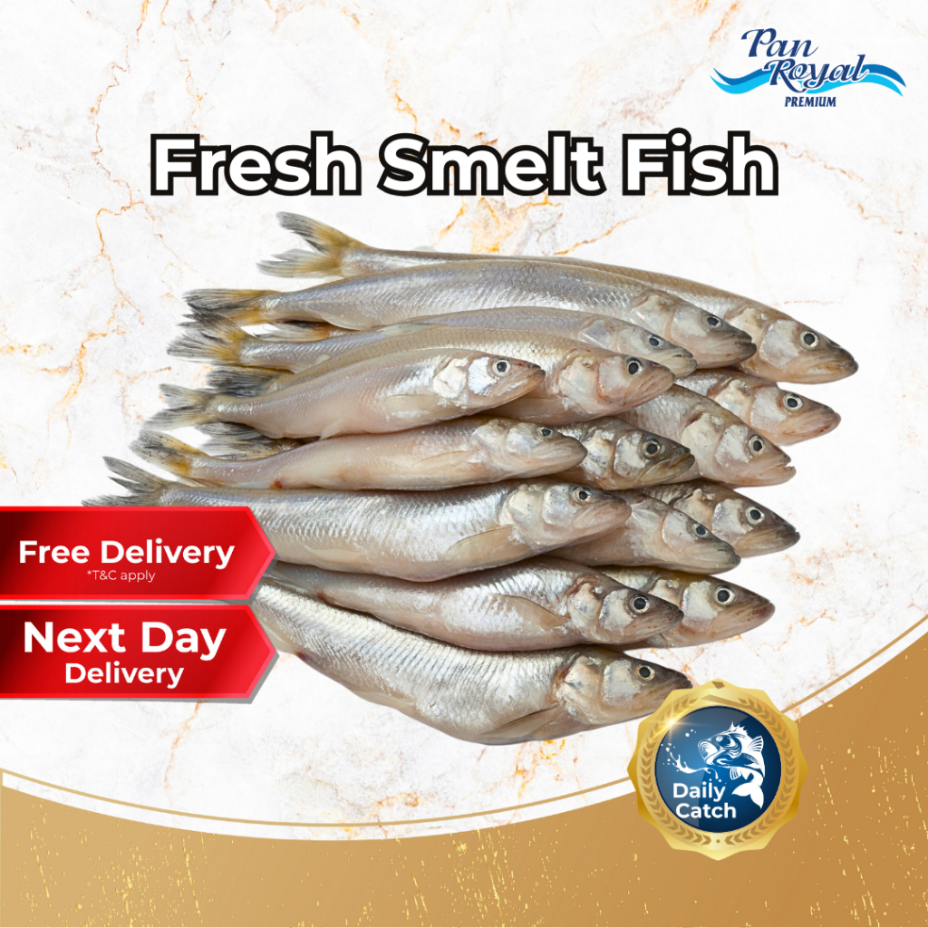 [PAN ROYAL] Fresh Smelt Fish (450g +/-)-Pan Ocean Singapore - Sea Through Us.