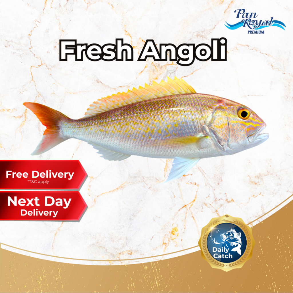 [PAN ROYAL] Fresh Sea Caught Angoli - Cleaned and Gutted (700-800g)-Pan Ocean Singapore - Sea Through Us.