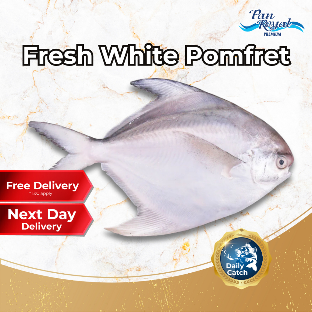 [PAN ROYAL] Fresh White Pomfret (300 - 400g +/-)-Pan Ocean Singapore - Sea Through Us.