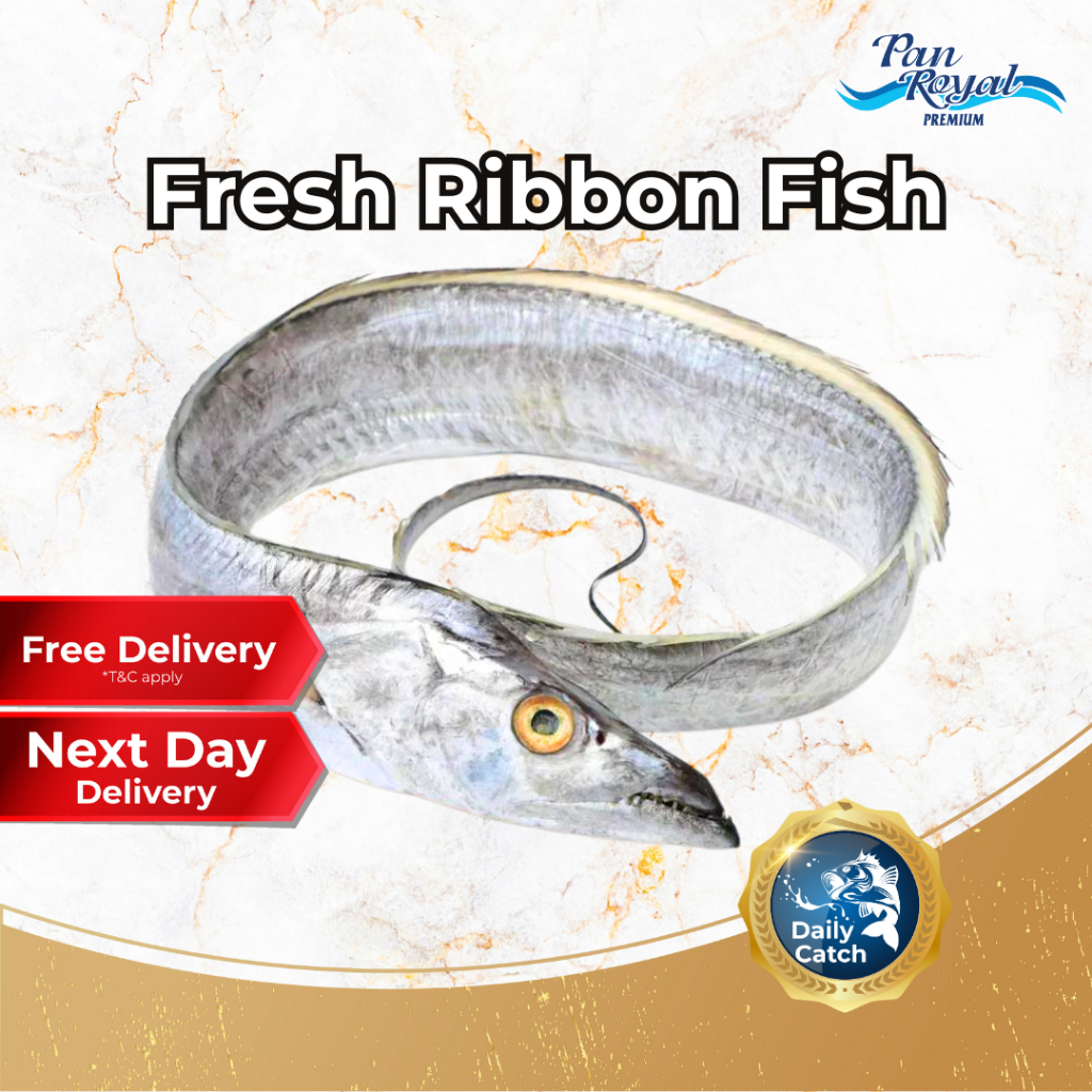 [PAN ROYAL] Fresh Ribbon Fish (500g +/-)-Pan Ocean Singapore - Sea Through Us.