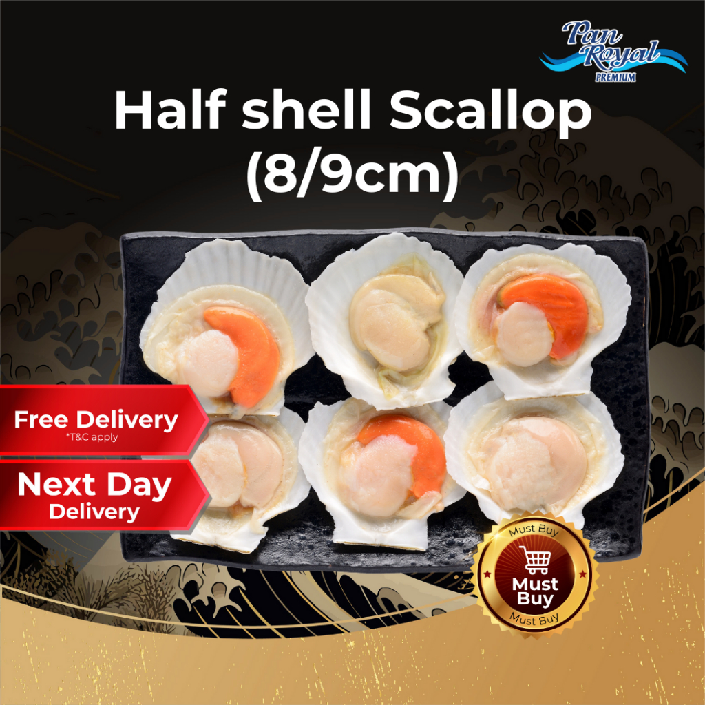 [PAN ROYAL] Frozen Half Shell Scallop 8/9cm 7 - 9 pcs-Pan Ocean Singapore - Sea Through Us.