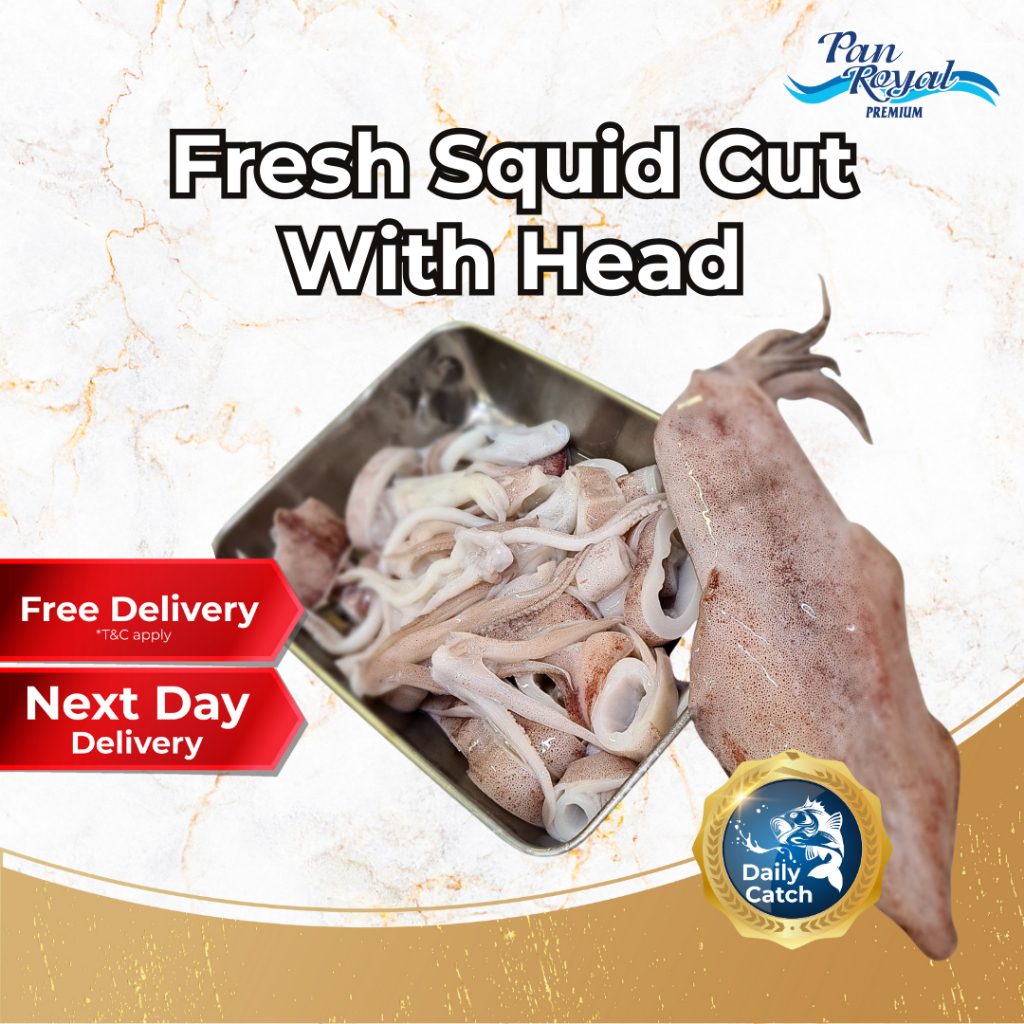 [PAN ROYAL] Fresh Squid Cut With Head (500g +/-)-Pan Ocean Singapore - Sea Through Us.