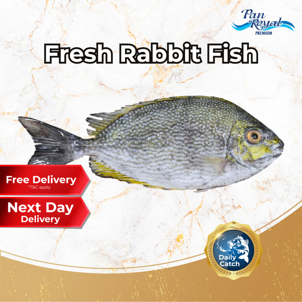 [PAN ROYAL] Fresh Rabbit Fish (Indonesia KaSu) (450g +/-)-Pan Ocean Singapore - Sea Through Us.