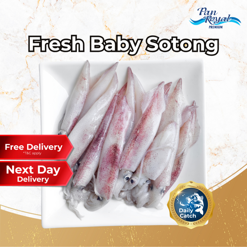 [PAN ROYAL] Fresh Baby Sotong (300g +/-)-Pan Ocean Singapore - Sea Through Us.