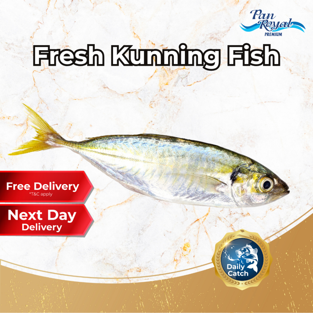 [PAN ROYAL] Fresh Kunning Fish (450g +/-)-Pan Ocean Singapore - Sea Through Us.