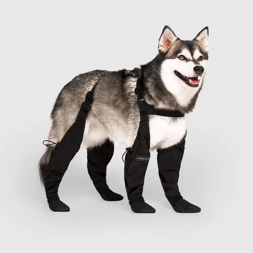 🐕Suspender Boots For Dogs