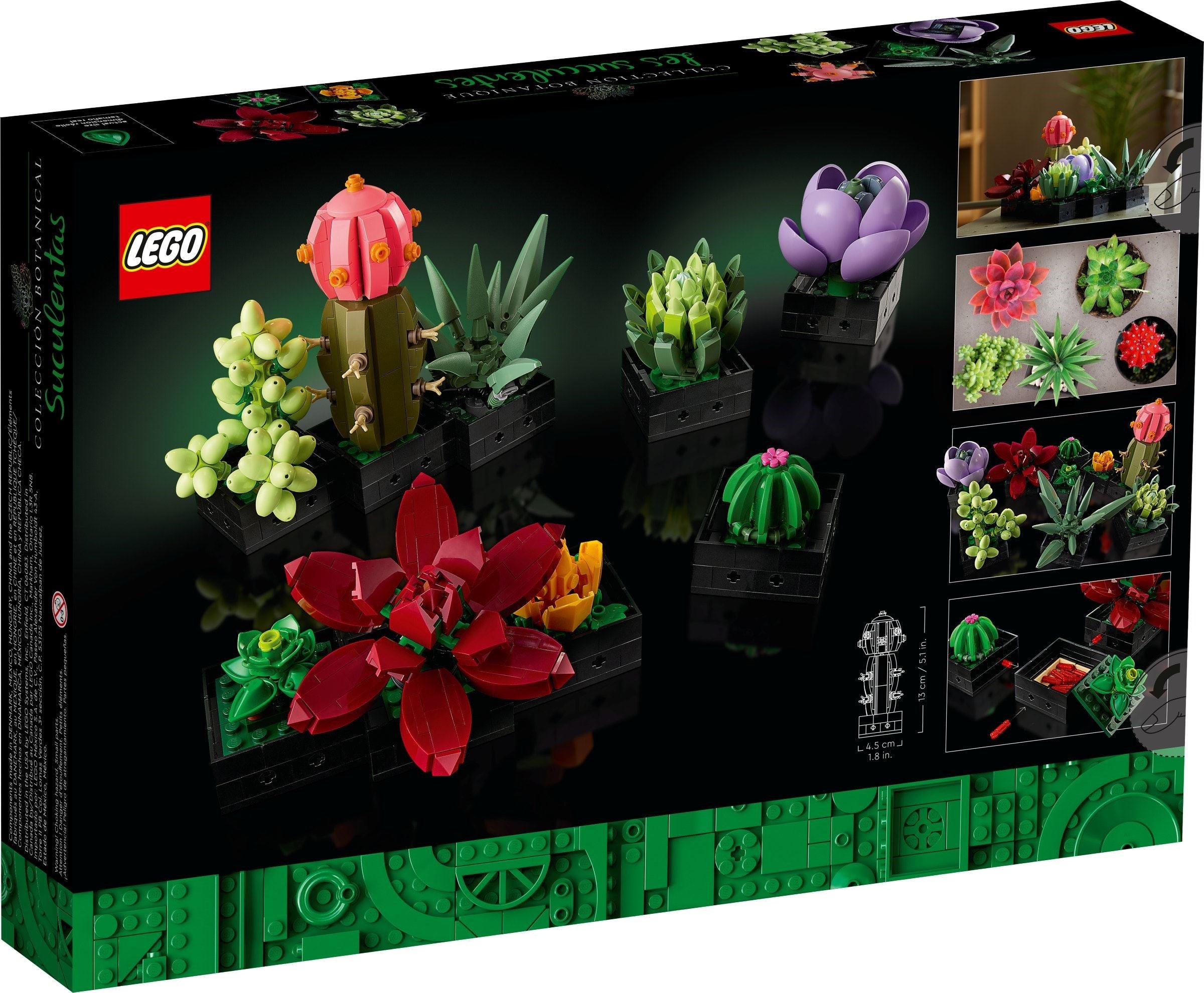 10309 Succulents