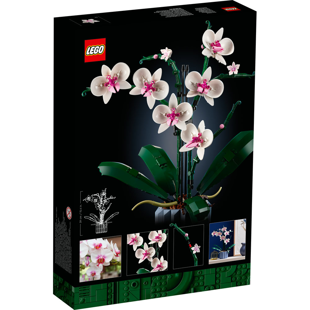 10311 Orchid