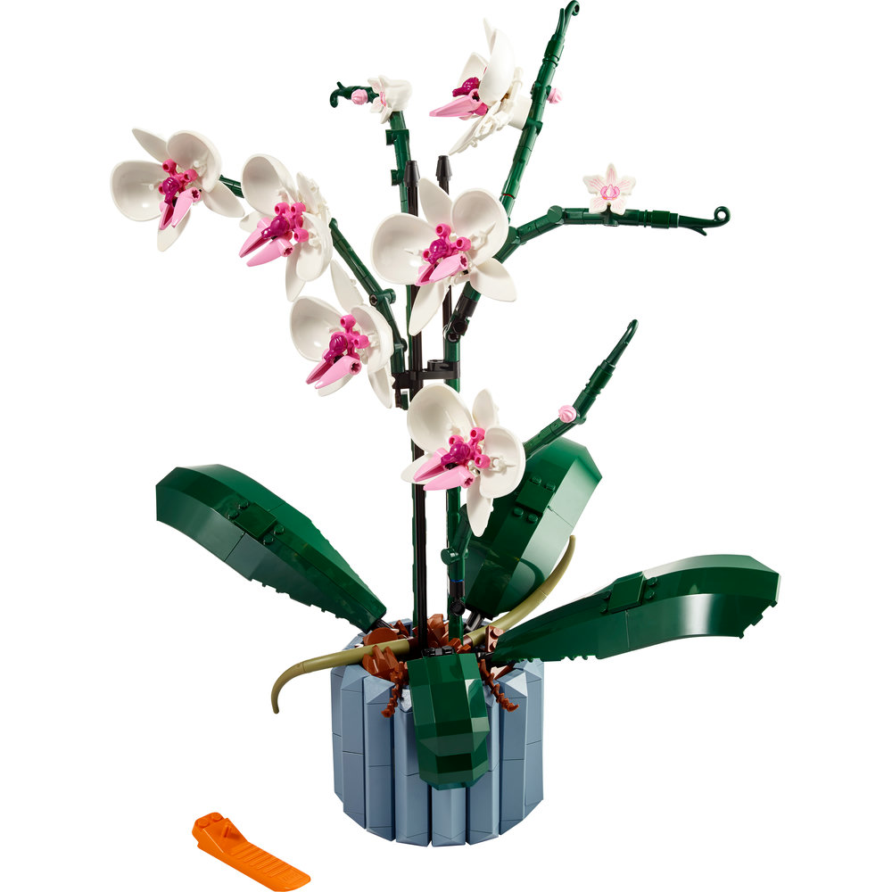 10311 Orchid