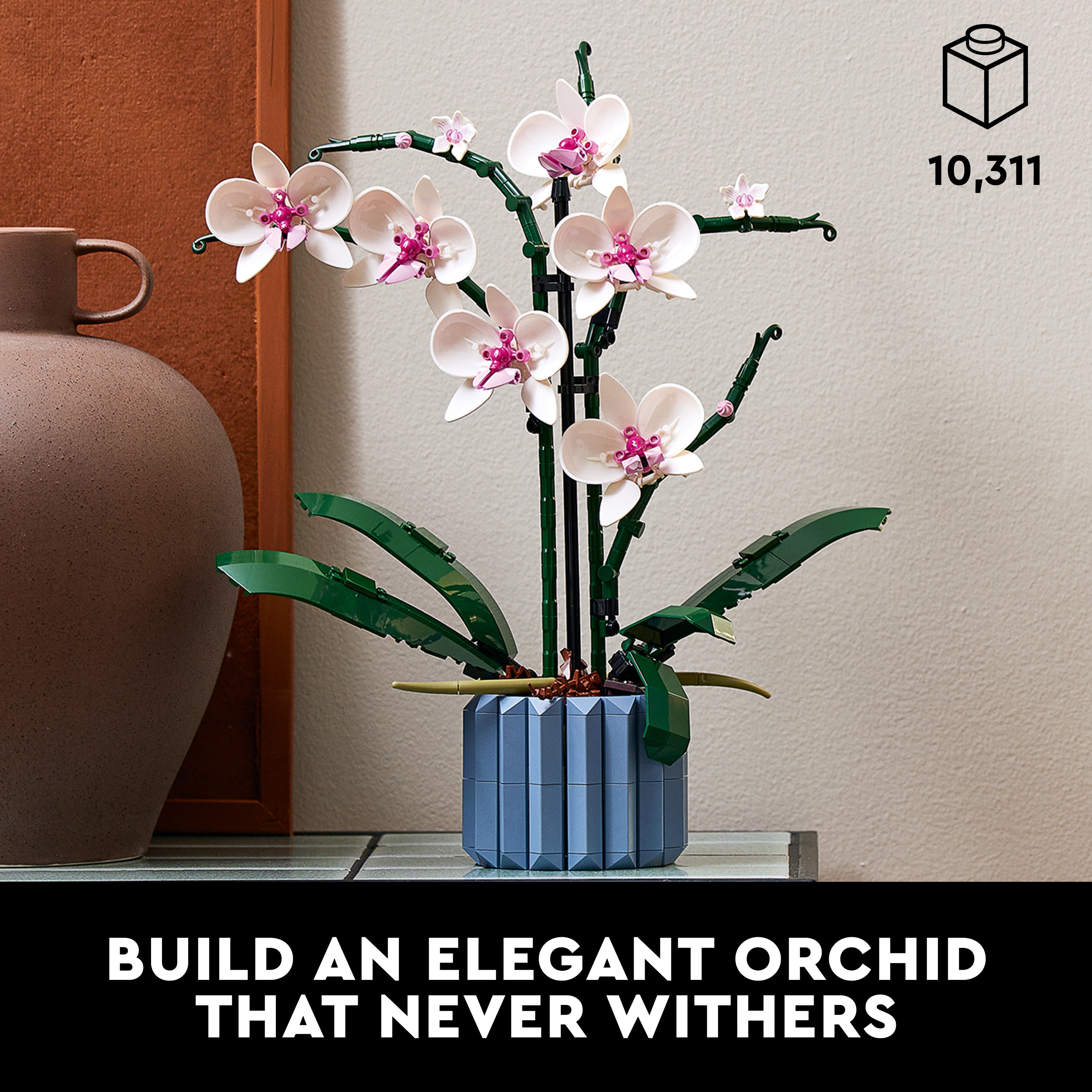 10311 Orchid