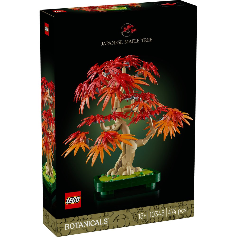 10348 Japanese Red Maple Bonsai Tree