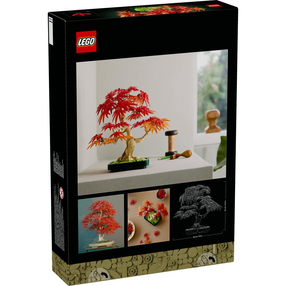 10348 Japanese Red Maple Bonsai Tree