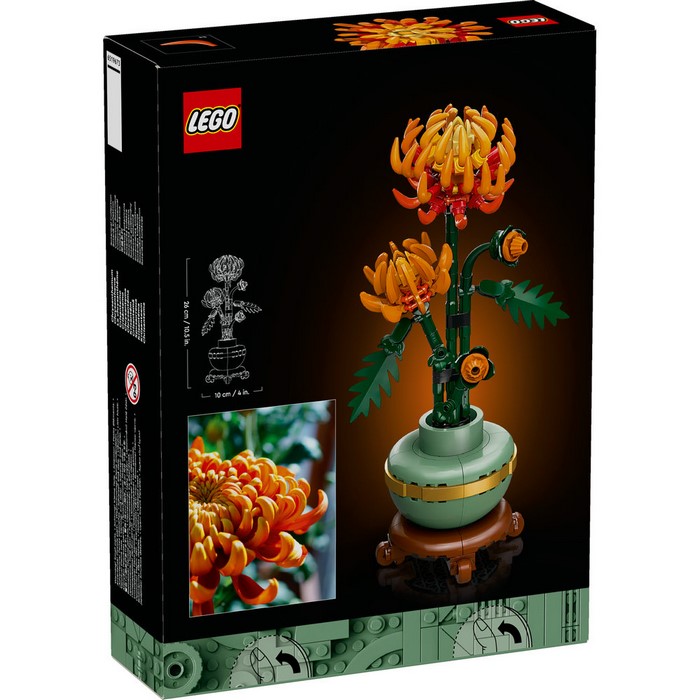 10368 Chrysanthemum