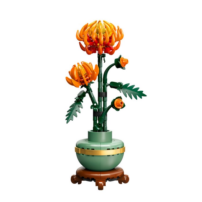 10368 Chrysanthemum