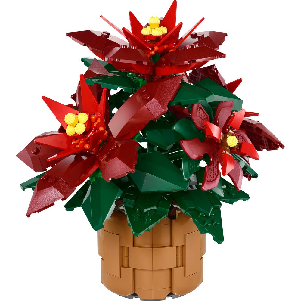 10370 Poinsettia