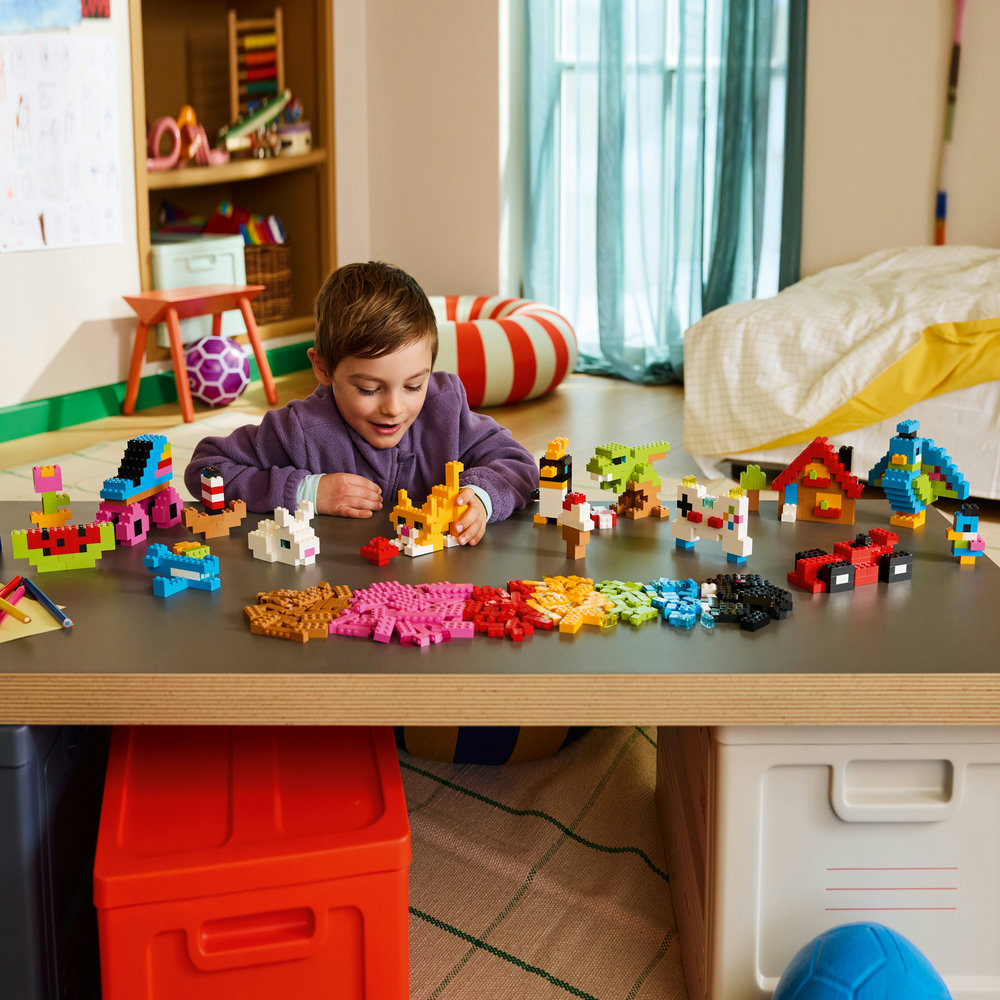 11045 Creative Colourful Bricks