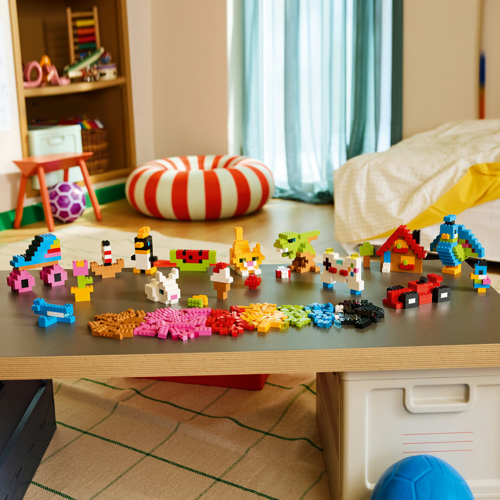 11045 Creative Colourful Bricks