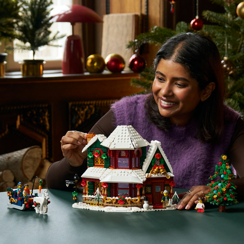 11387 Holiday House