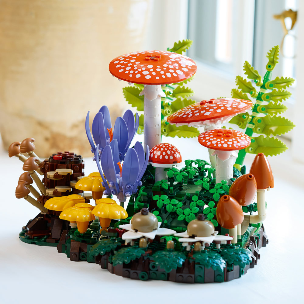 11505 Woodland Mushrooms