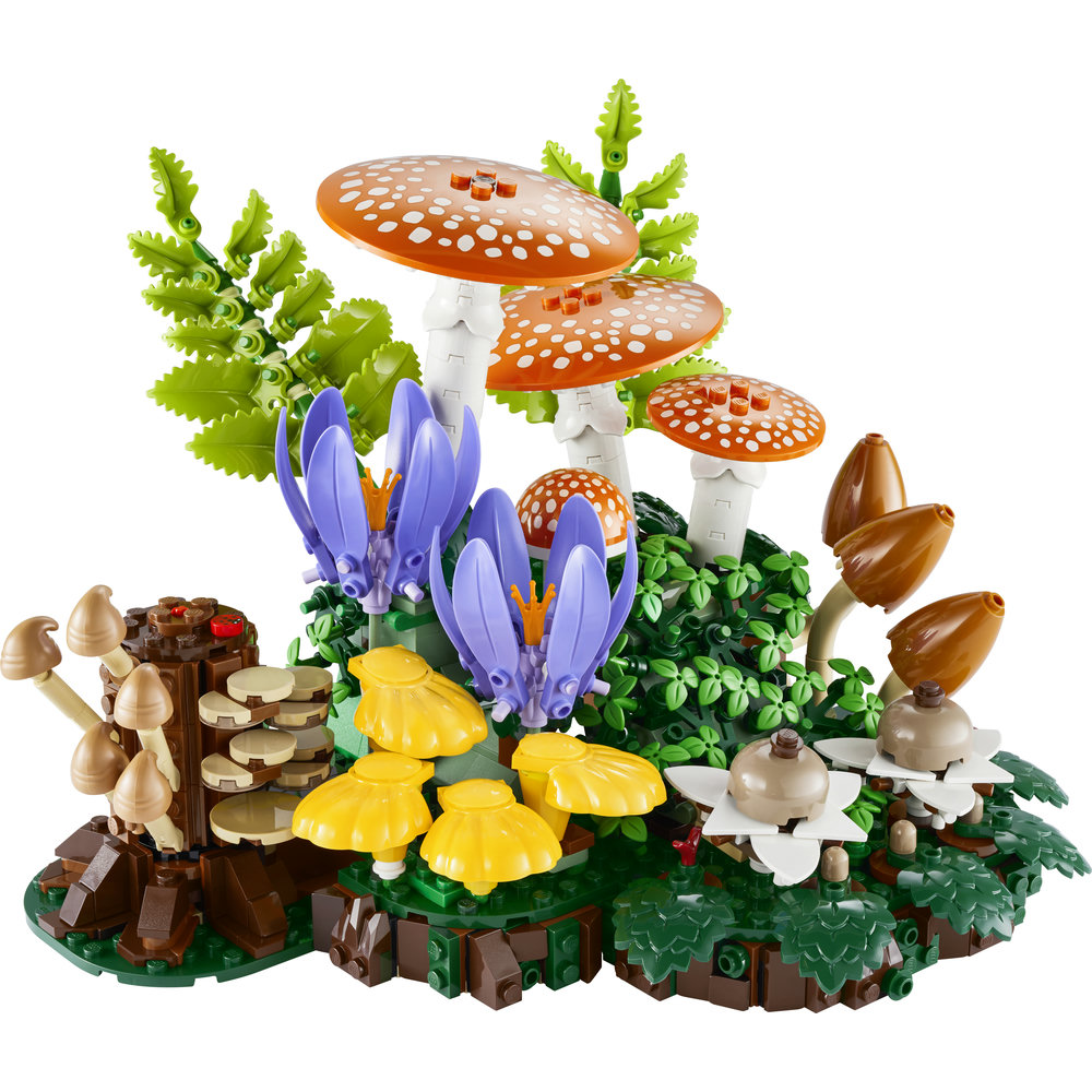11505 Woodland Mushrooms