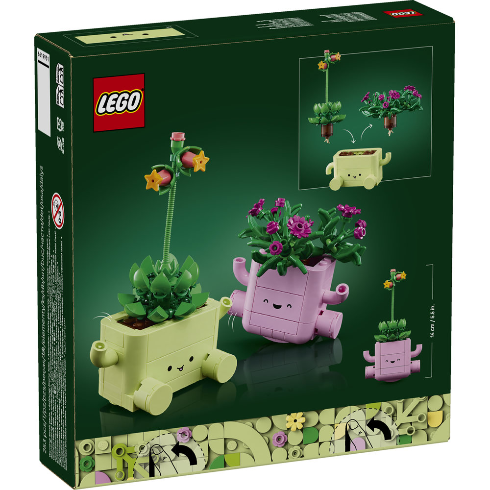 11506 Rocking Plants