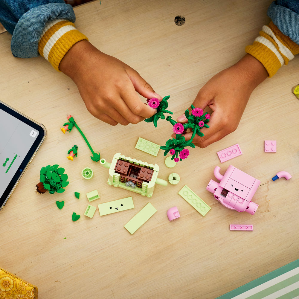 11506 Rocking Plants