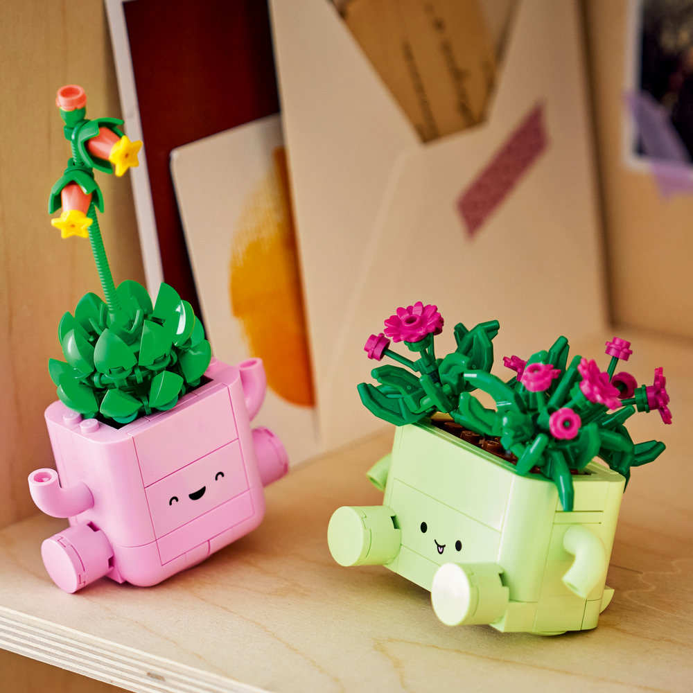 11506 Rocking Plants