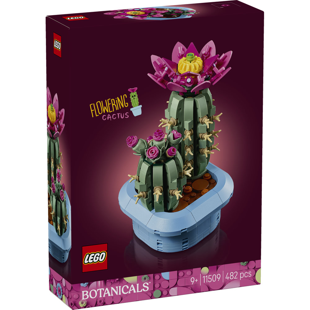11509 Flowering Cactus