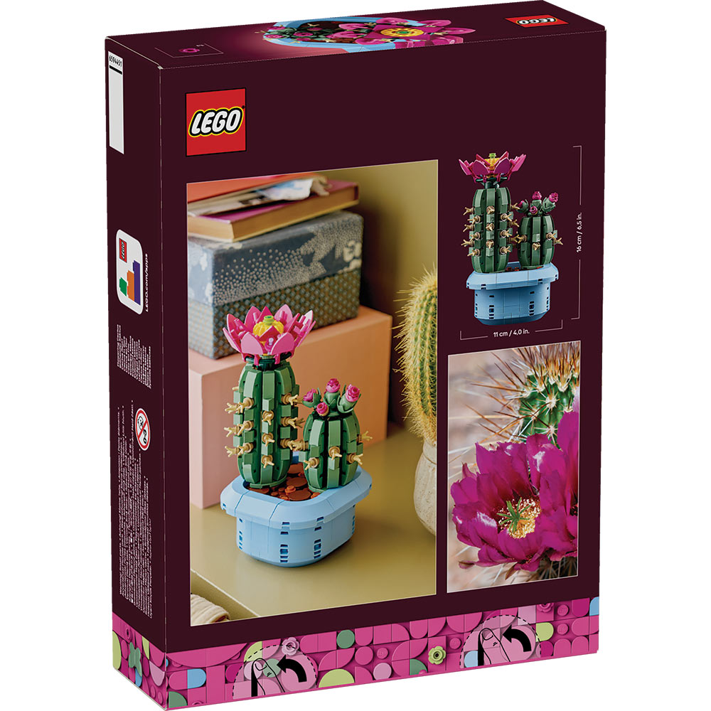 11509 Flowering Cactus