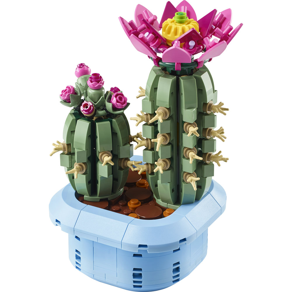 11509 Flowering Cactus