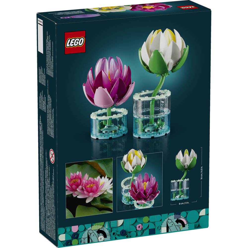 11511 Water Lilies