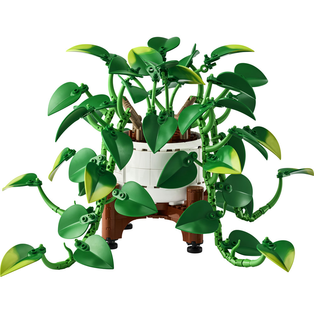 11512 Hanging Golden Pothos