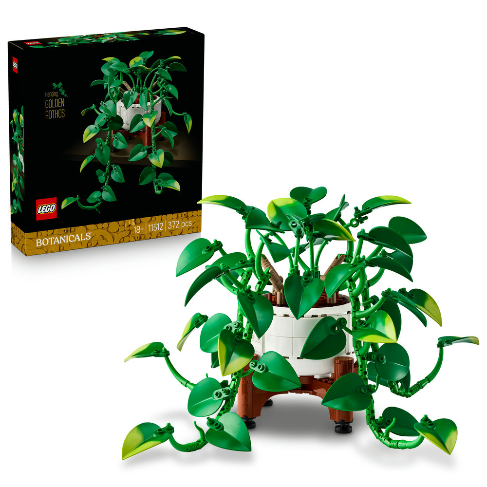 11512 Hanging Golden Pothos